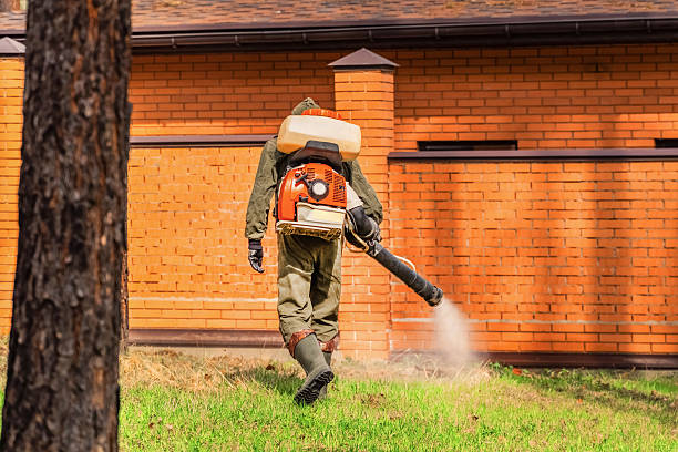 Trusted Ant Control service in Middle Valley, TN - Nex Pest Control